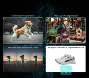 salient object segmentation