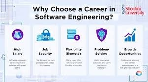 ML Engineers vs Software Engineers Career Path